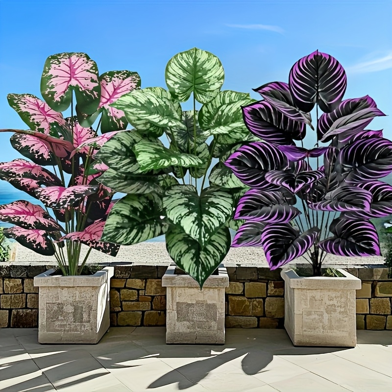 Bonsai Garden Zen - 3 pz 60 cm Grande Pianta