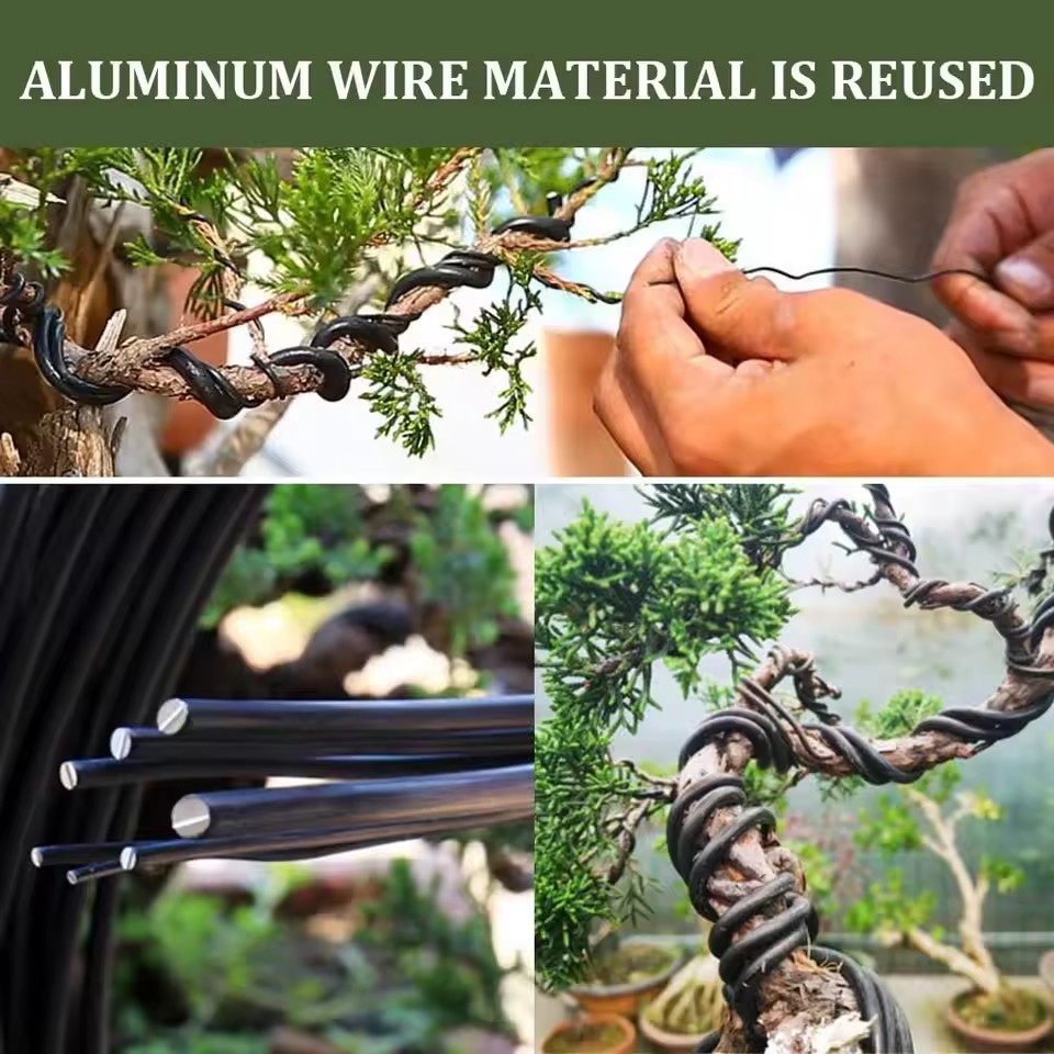 Bonsai Wire Aluminum - Accessori per Modellare Piante, Filo per