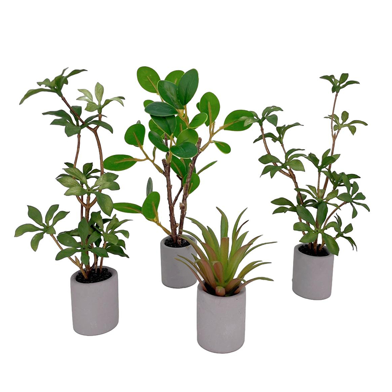 Bonsai Garden Zen - 1:6 Casa delle bambole in miniatura