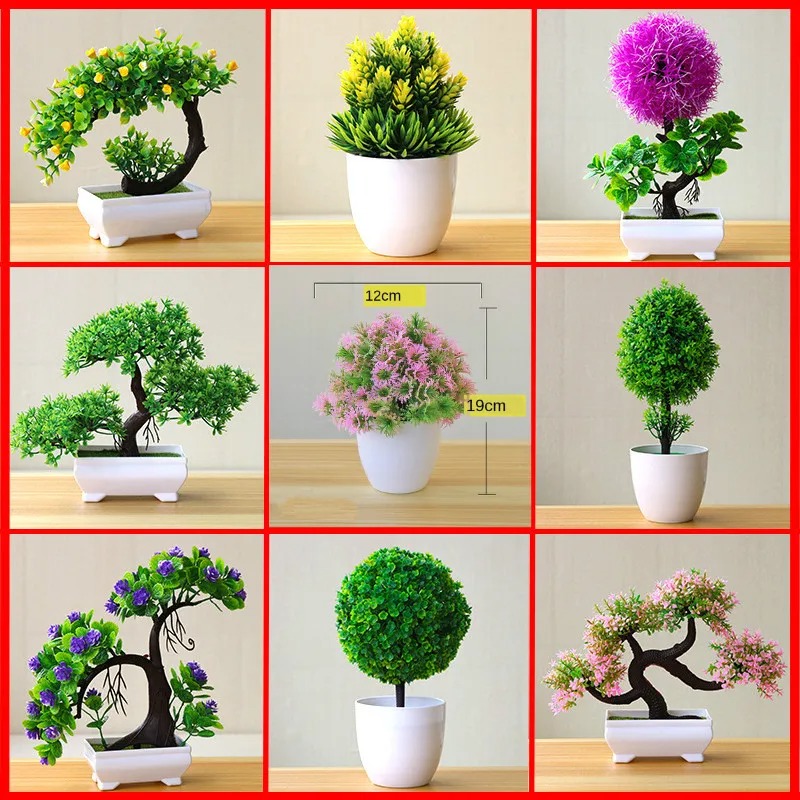 Bonsai Garden Zen - Piccolo Albero Artificiale in Vaso, Piante