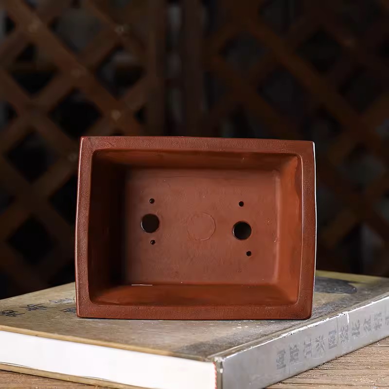 Vaso Bonsai rettangolare intag - Bonsai Garden With Sand recensione e prezzo