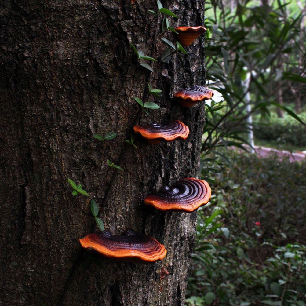 5 Pezzi di Mini Funghi in Resi - Bonsai Garden Display recensione e prezzo