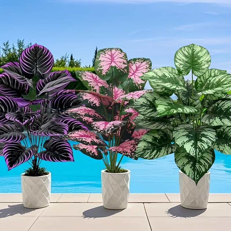 3 pz 60 cm Grande Pianta Verde - Bonsai Garden Zen recensione e prezzo