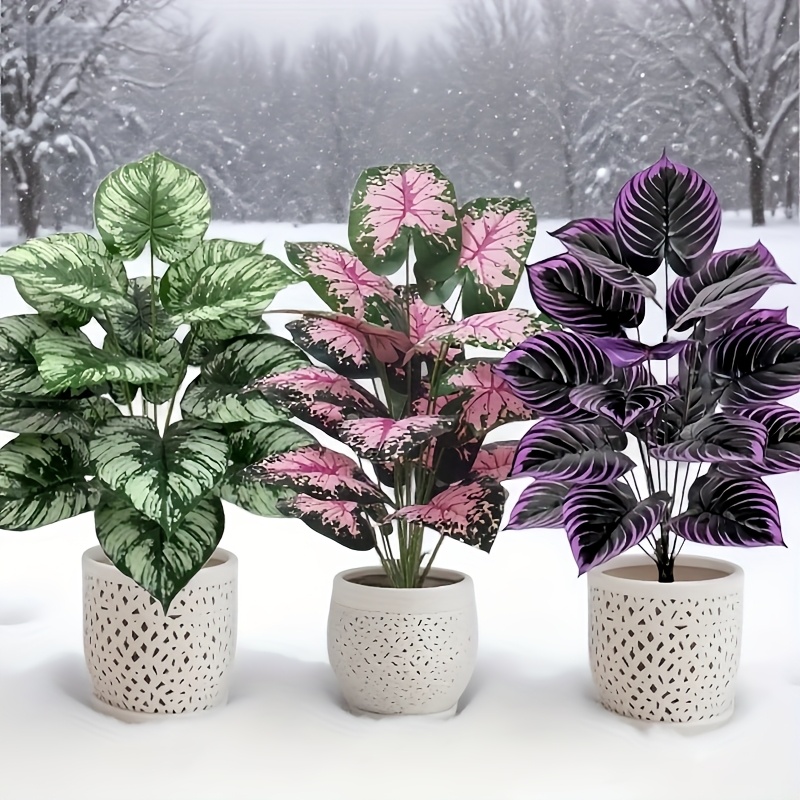 3 pz 60 cm Grande Pianta Verde - Bonsai Garden Zen recensione e prezzo