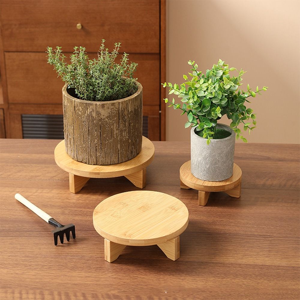 Espositore per bonsai in legno - Bonsai Garden Display recensione e prezzo