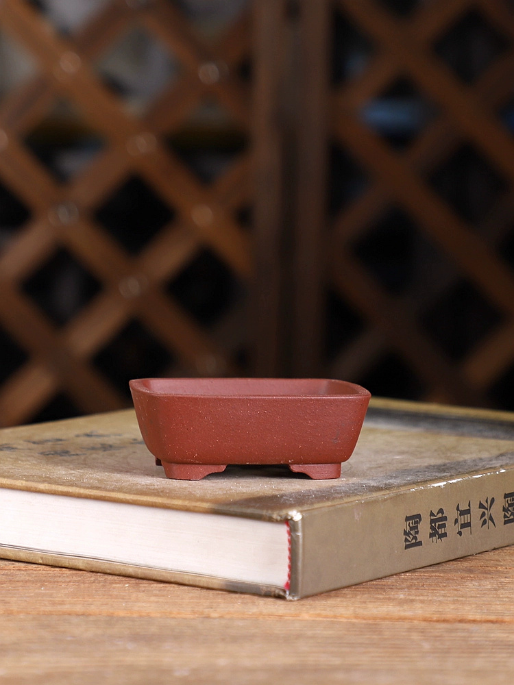 Vaso bonsai rettangolare ad an - Bonsai Garden With Sand recensione e prezzo