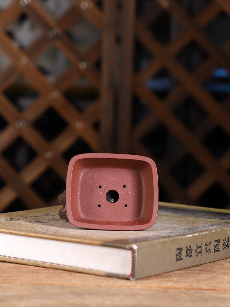 Vaso bonsai rettangolare ad an - Bonsai Garden With Sand recensione e prezzo