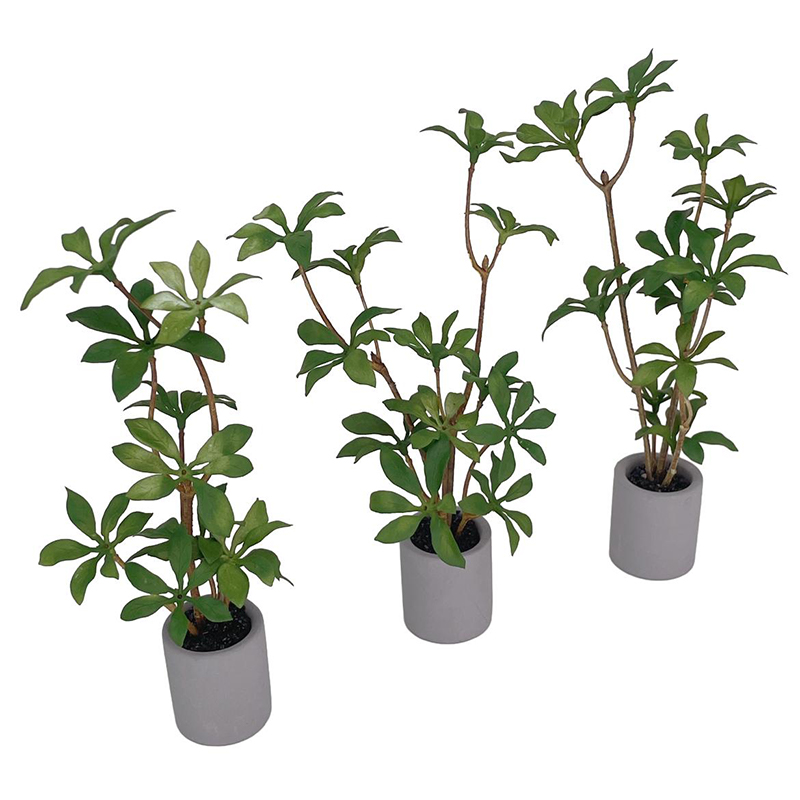 1:6 Casa delle bambole in mini - Bonsai Garden Zen recensione e prezzo