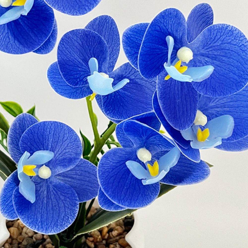 Orchidea a Farfalla Simulata M - Bonsai Garden Zen recensione e prezzo