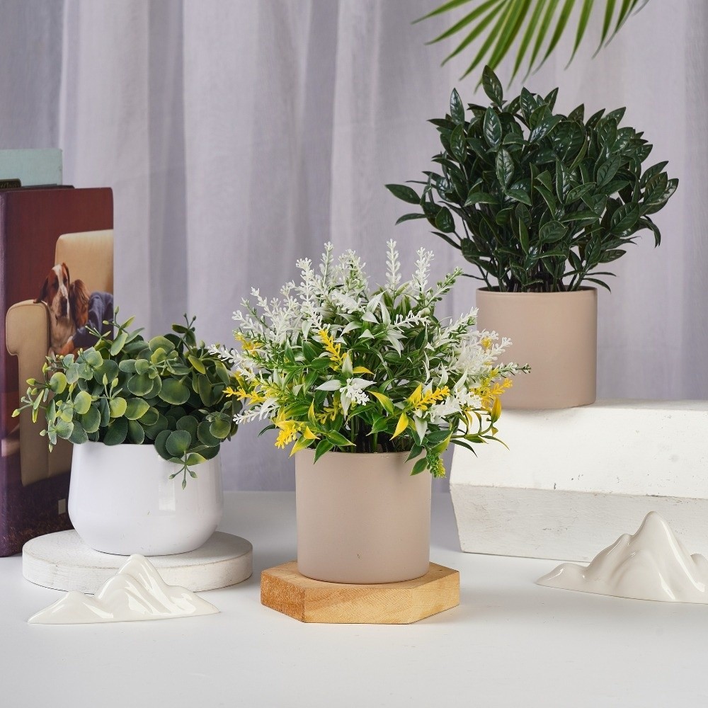 Pianta Artificiale in Plastica - Bonsai Garden Zen recensione e prezzo