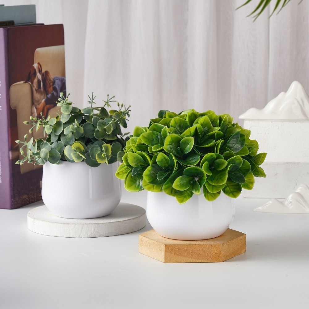 Pianta Artificiale in Plastica - Bonsai Garden Zen recensione e prezzo