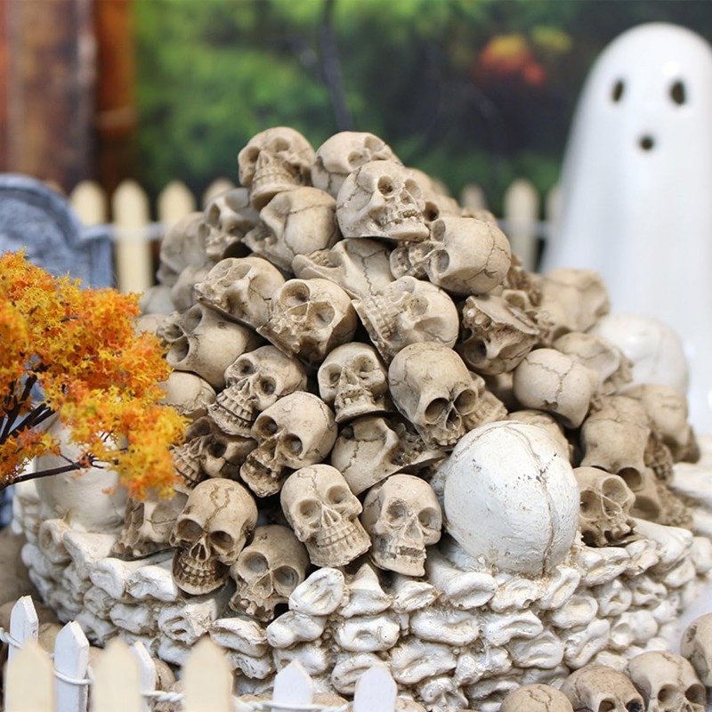 Statuette di Teschi Realistici - Bonsai Garden Display recensione e prezzo