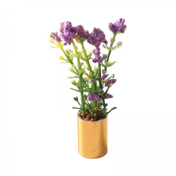Ornamento di Pianta in Vaso in - Bonsai Garden Display recensione e prezzo