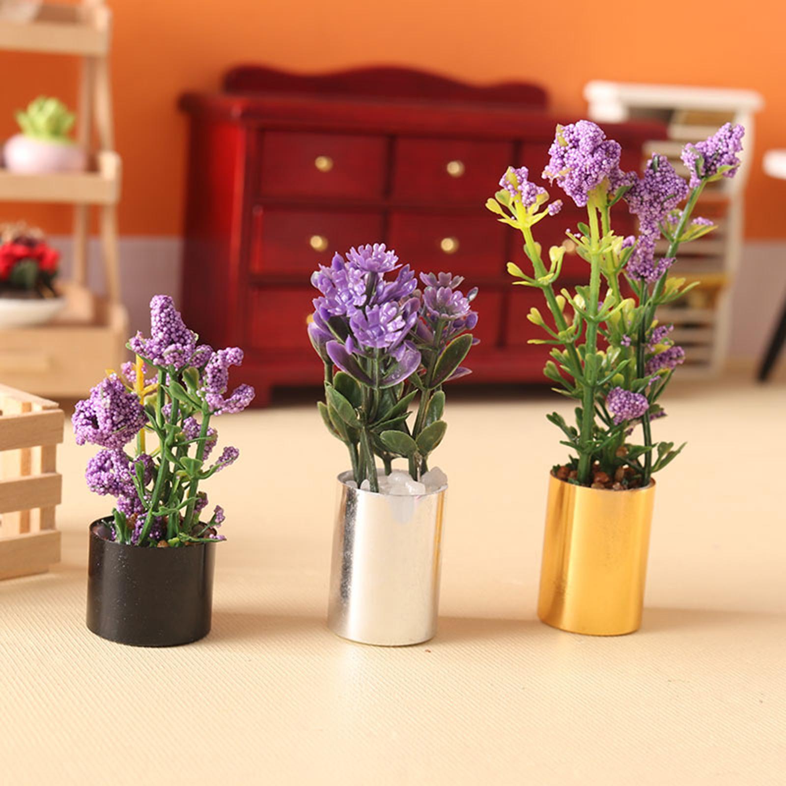 Ornamento di Pianta in Vaso in - Bonsai Garden Display recensione e prezzo