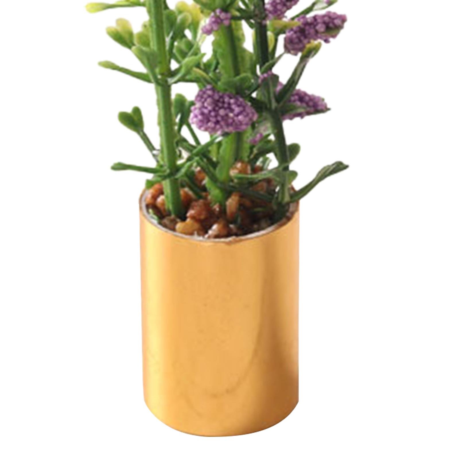 Ornamento di Pianta in Vaso in - Bonsai Garden Display recensione e prezzo