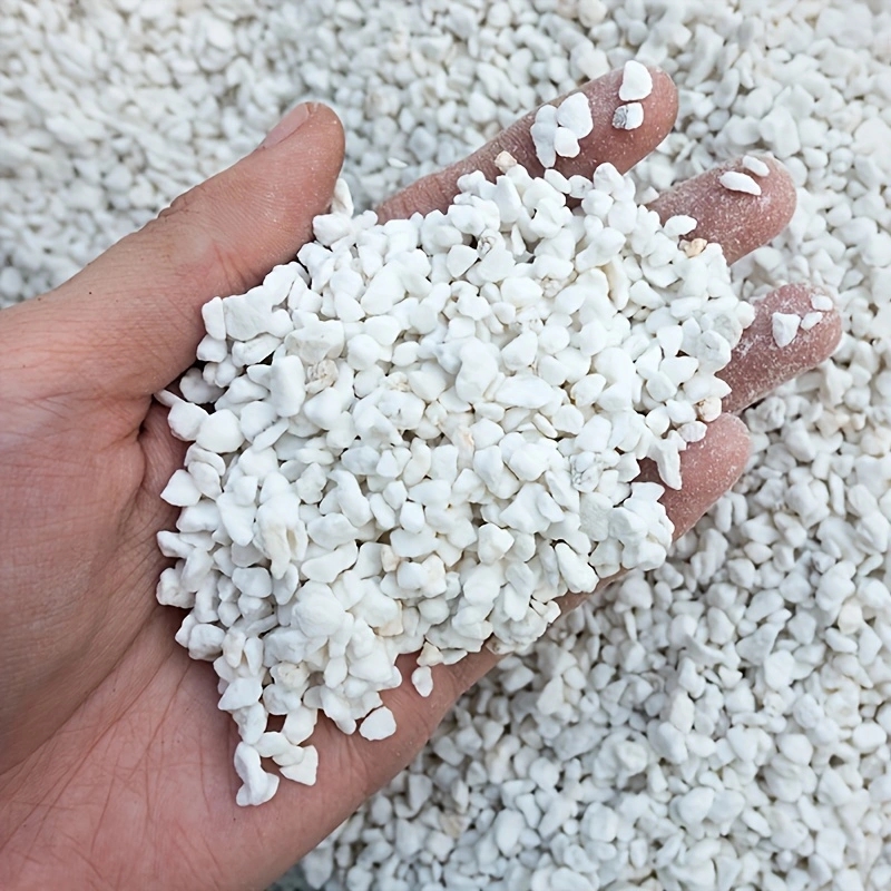 Confezione da 1 Pezzo di Perli - Horticulture Soil Perlite recensione e prezzo