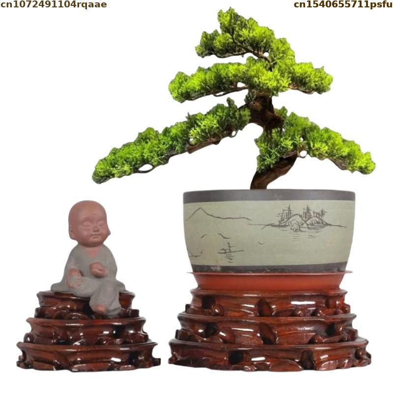 6-30 cm di Diametro in Piedi B - Bonsai Garden Display recensione e prezzo