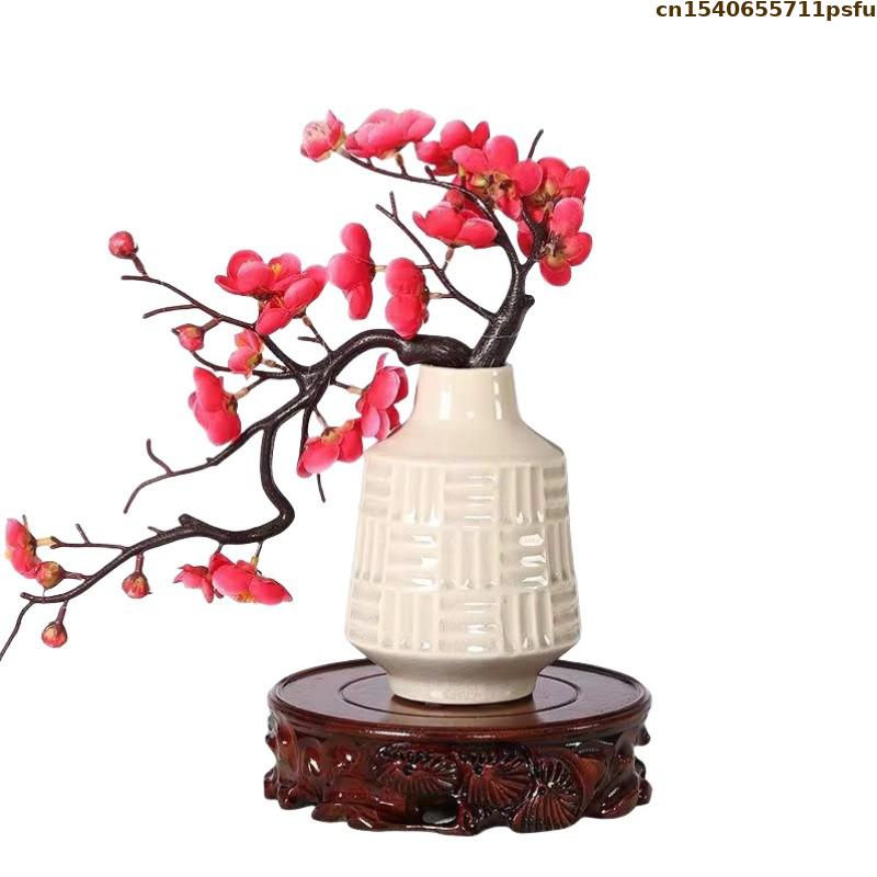 6-30 cm di Diametro in Piedi B - Bonsai Garden Display recensione e prezzo