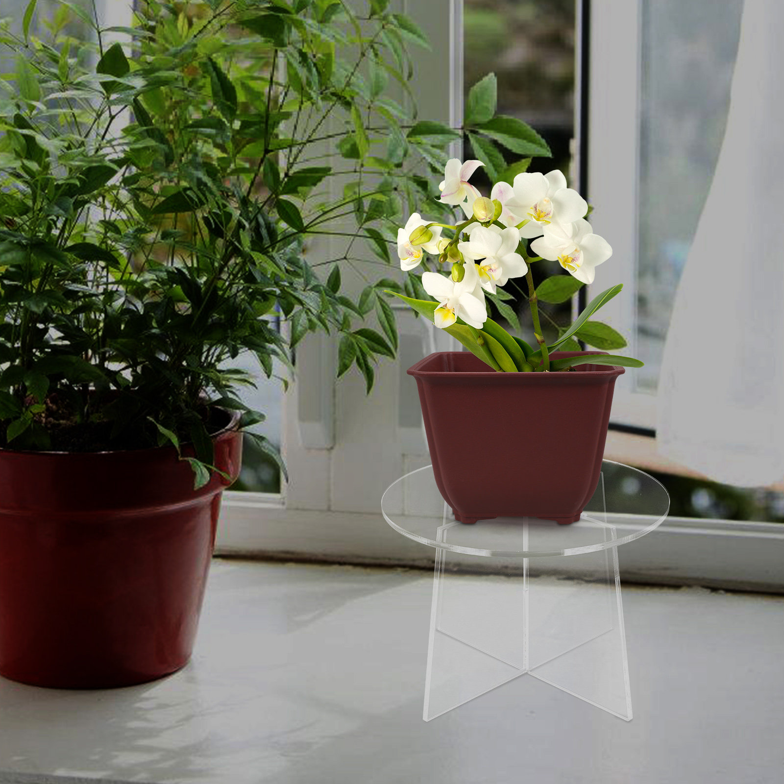 Supporto per Piante in Acrilic - Bonsai Garden Display recensione e prezzo