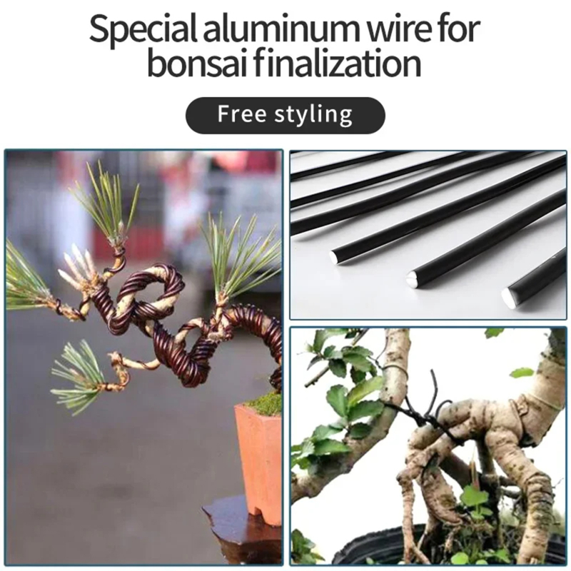 Supporto per piante in filo pe - Bonsai Wire Aluminum recensione e prezzo